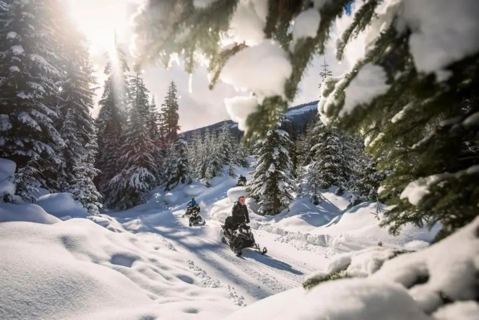 Whistler: Backcountry Snowmobile Adventure with Alpine Views