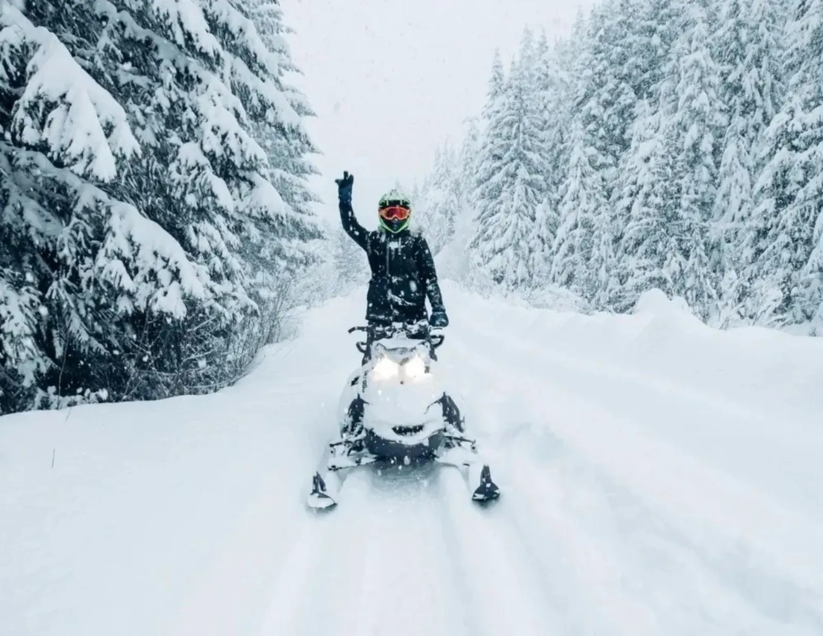 Helmeted rider waving from a snowmobile on a wide trail lined with snow-covered firs