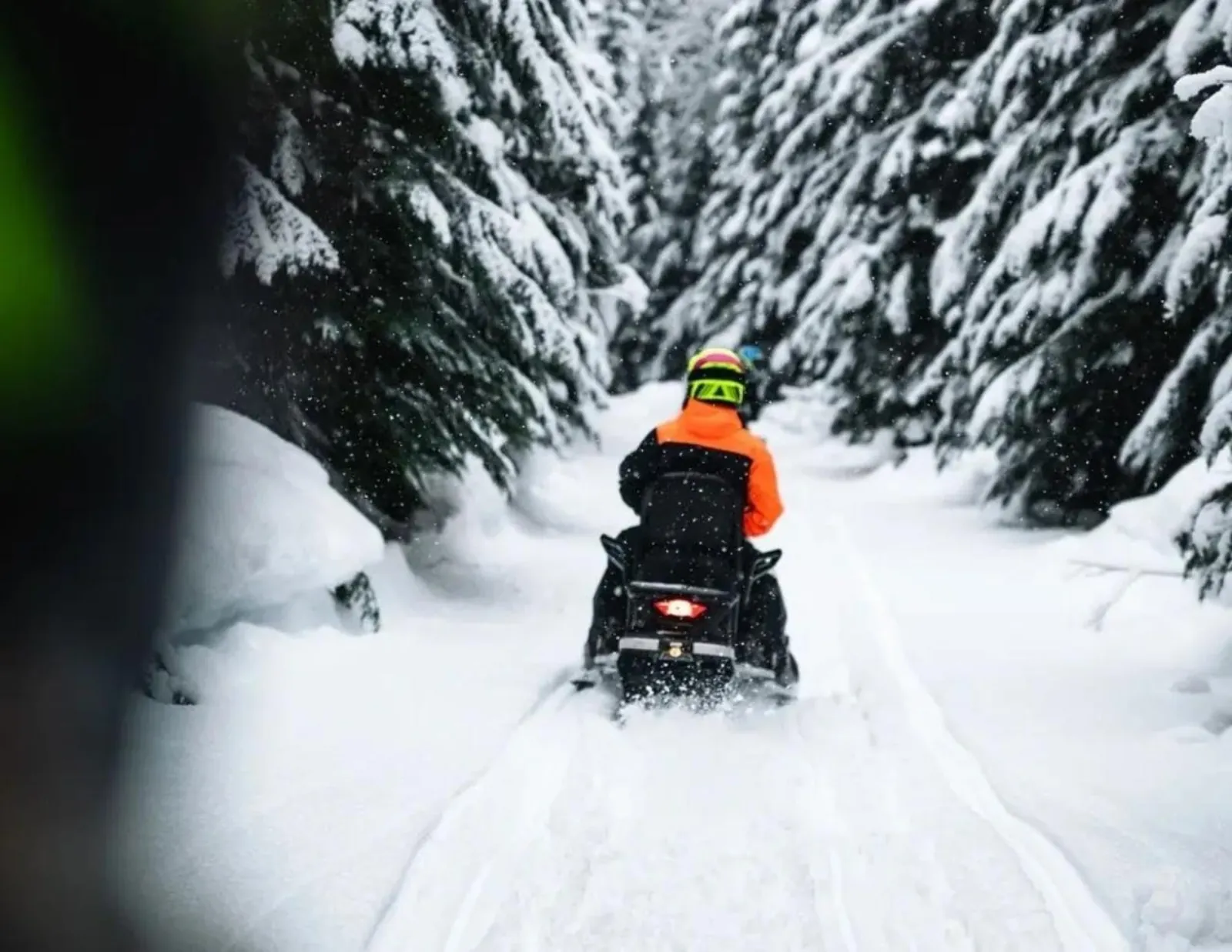 Rider in an orange jacket following the group down a narrow trail through snow-covered trees