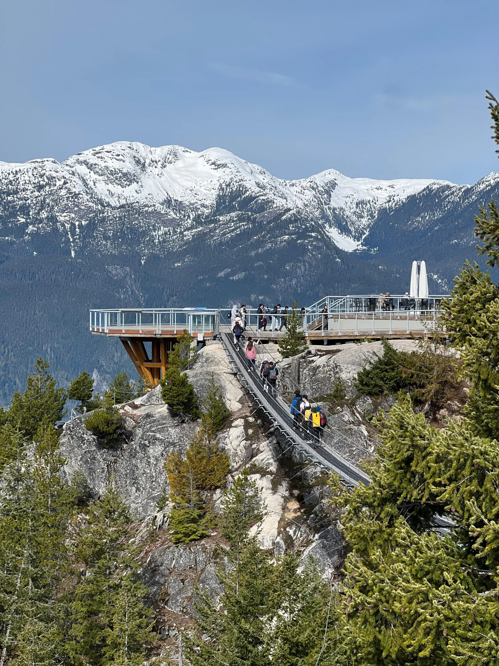 Limited Small Group Tour: Shannon Falls & Sea to Sky Gondola