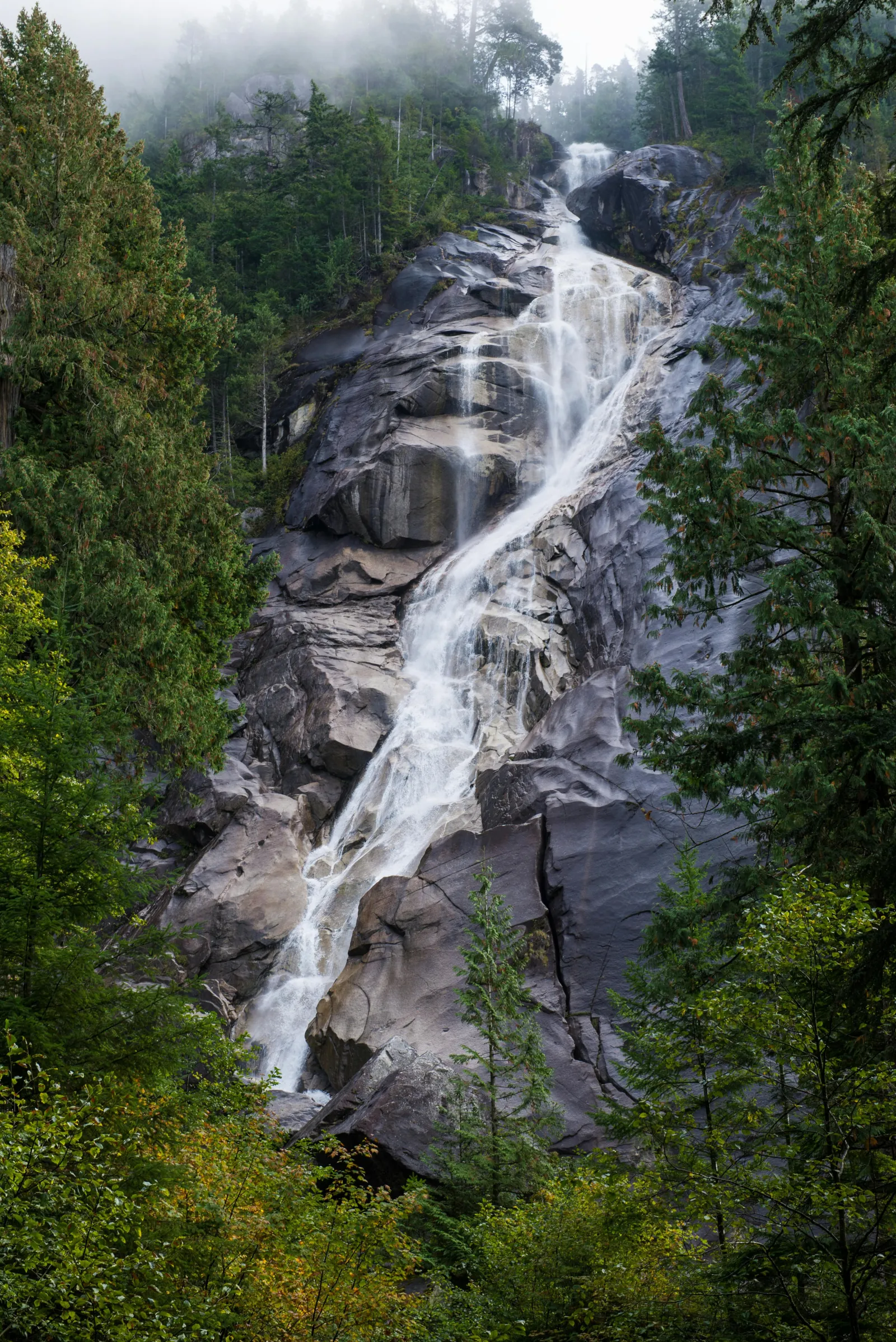Shannon Falls sliding down grey granite slabs in misty autumn forest