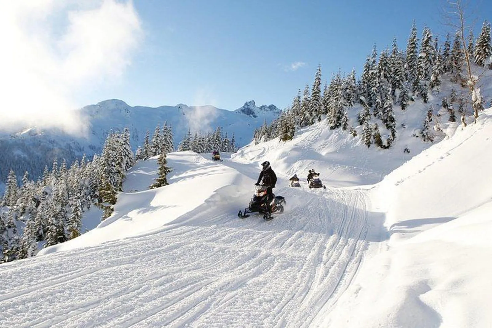 Whistler: Wilderness Snowmobile Tour