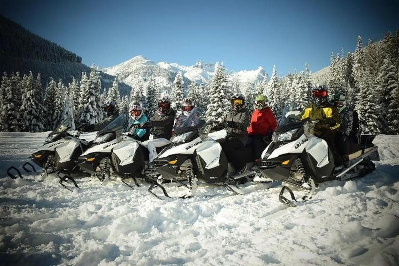 Tour group lined up on Ski-Doo snowmobiles in front of snowy forest and mountains