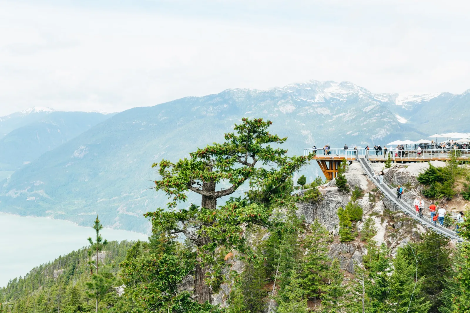 Chief Overlook viewing platform and Sky Pilot Suspension Bridge on a cliff above Howe Sound