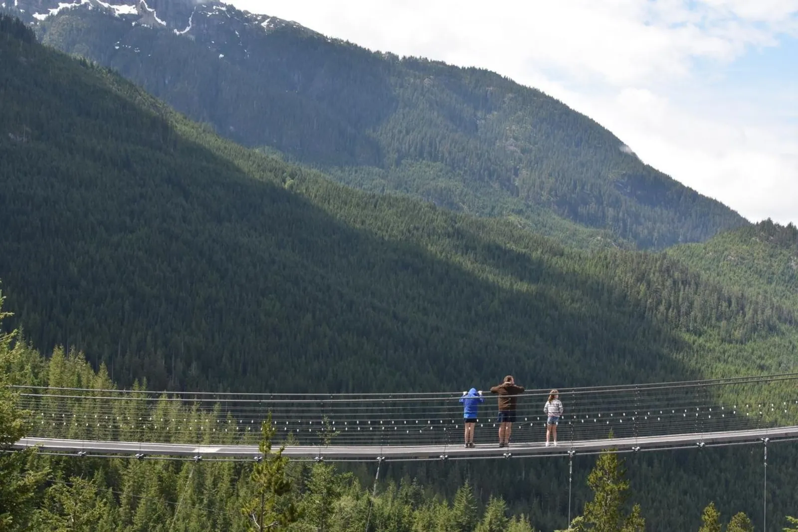 Visitors on the Sky Pilot Suspension Bridge above a forested valley at the gondola summit