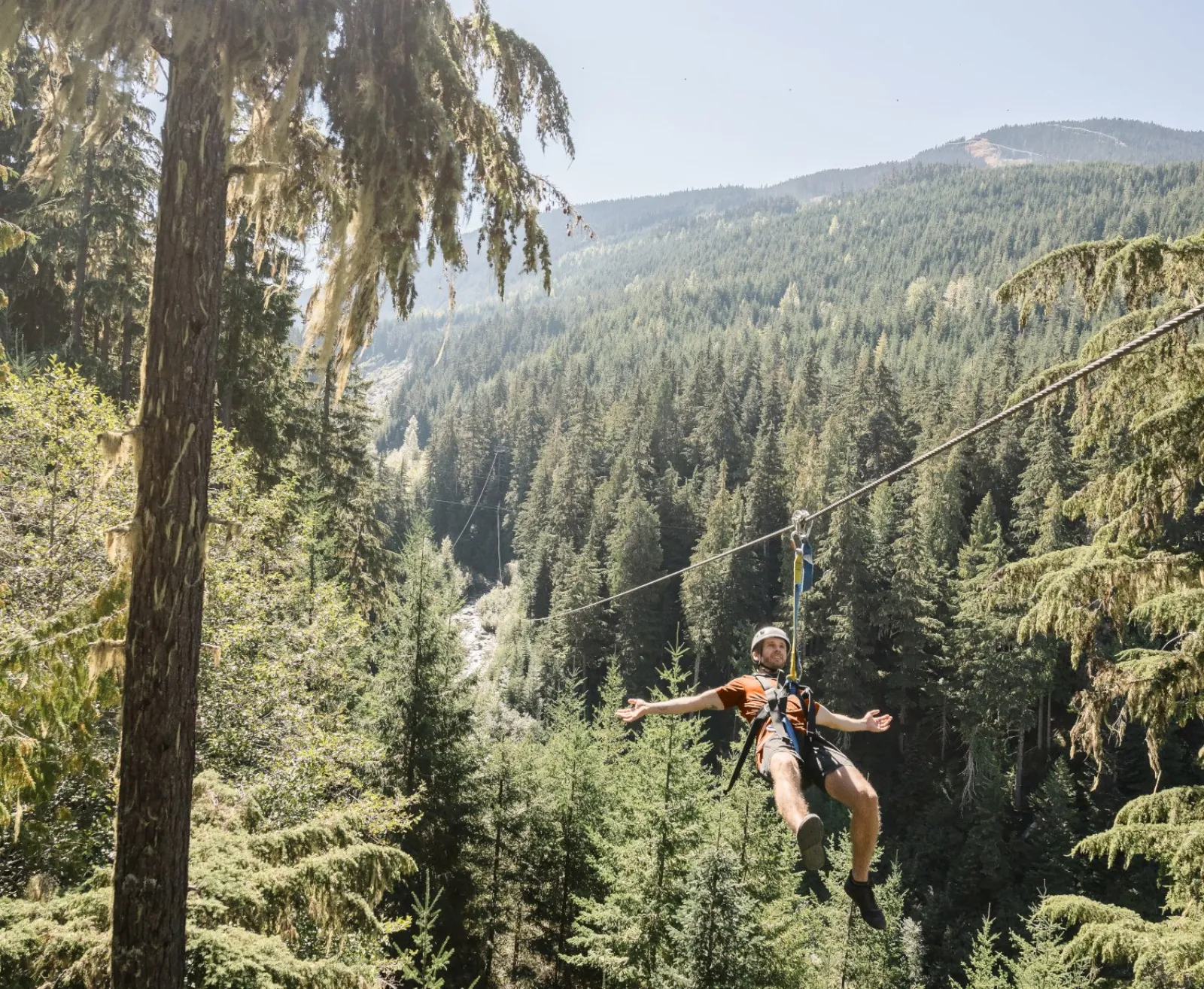 Whistler Zipline Experience: Ziptrek Bear Tour