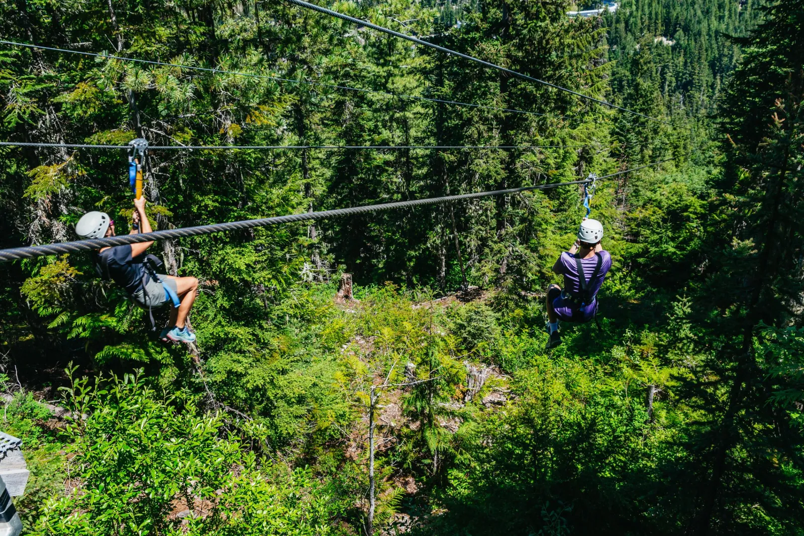 Two riders zipping side by side on parallel tandem lines above the forest