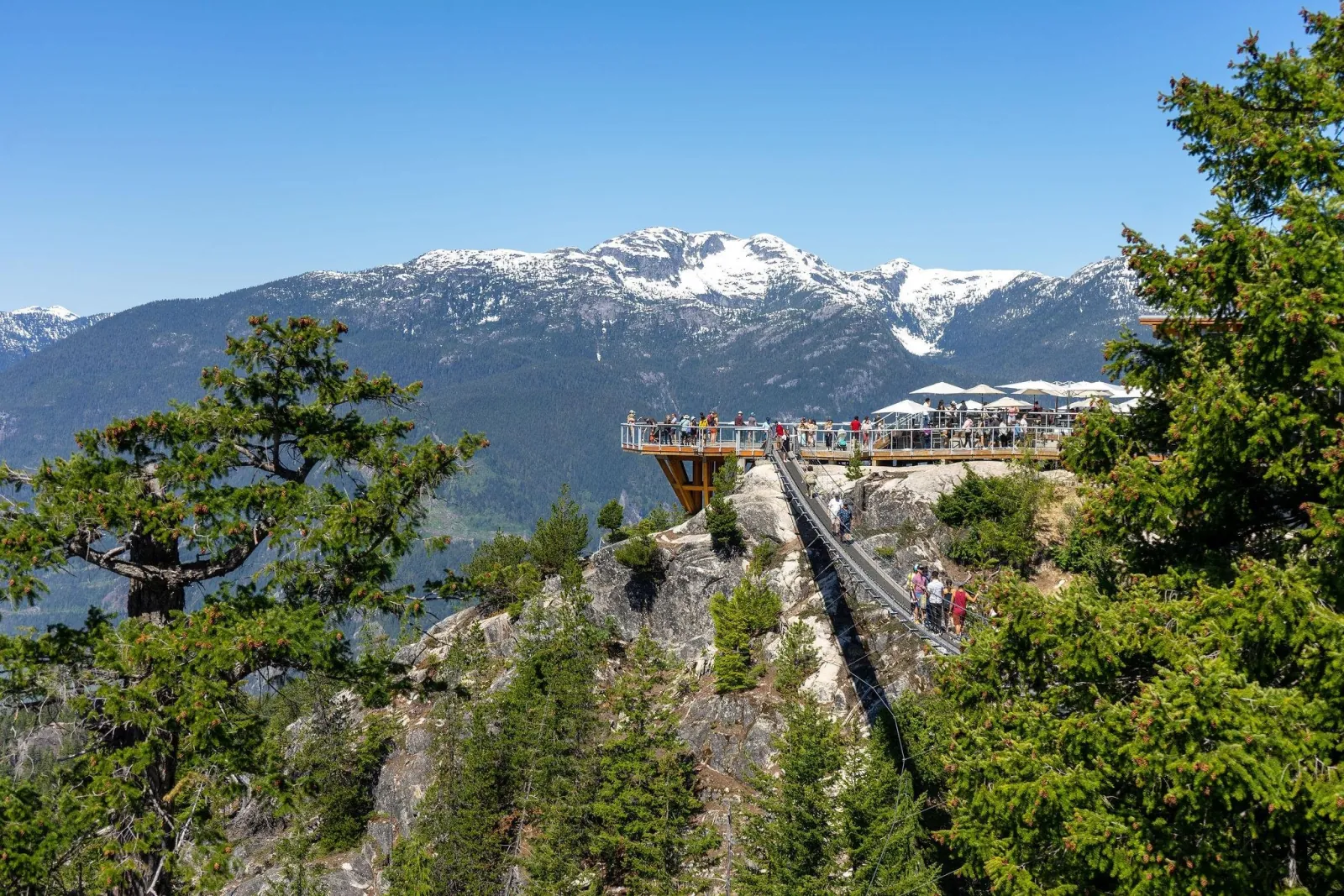 Chief Overlook platform and Sky Pilot Suspension Bridge crowded with summer visitors