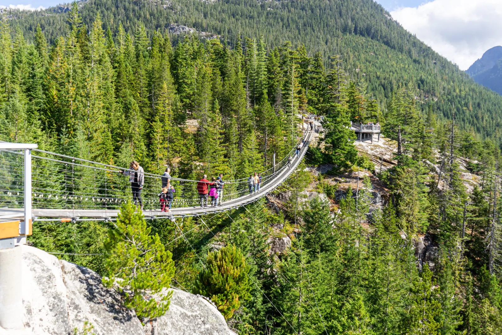 Visitors crossing the Sky Pilot Suspension Bridge through tall conifers