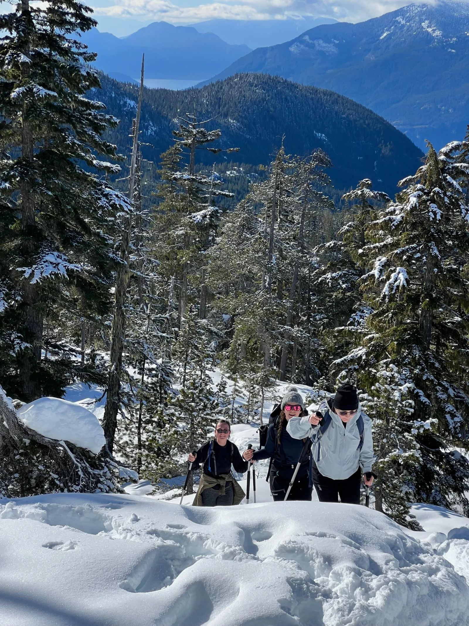 Snowshoeing At The Top Of The Sea To Sky Gondola
