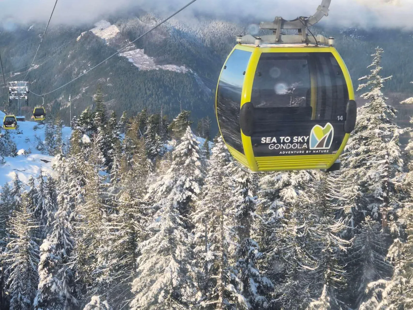 Sea to Sky Gondola cabin passing over snow-covered conifers in winter