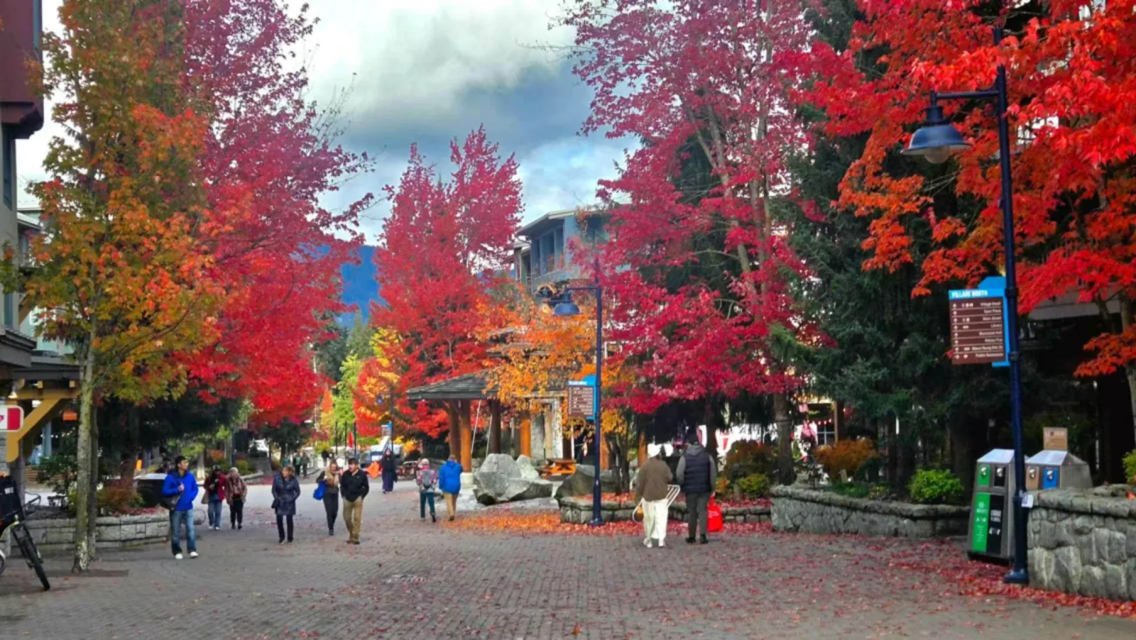 Red and orange autumn trees along a paved path in Whistler Village