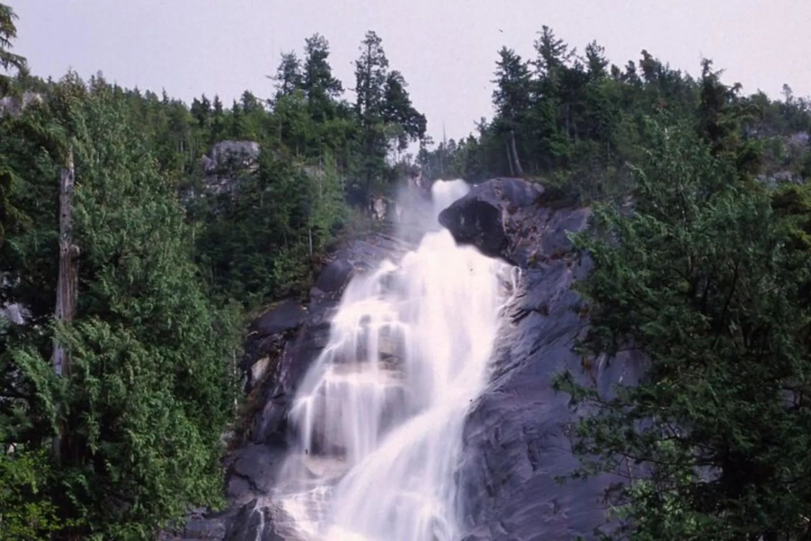 Shannon Falls tumbling over dark granite between evergreen trees
