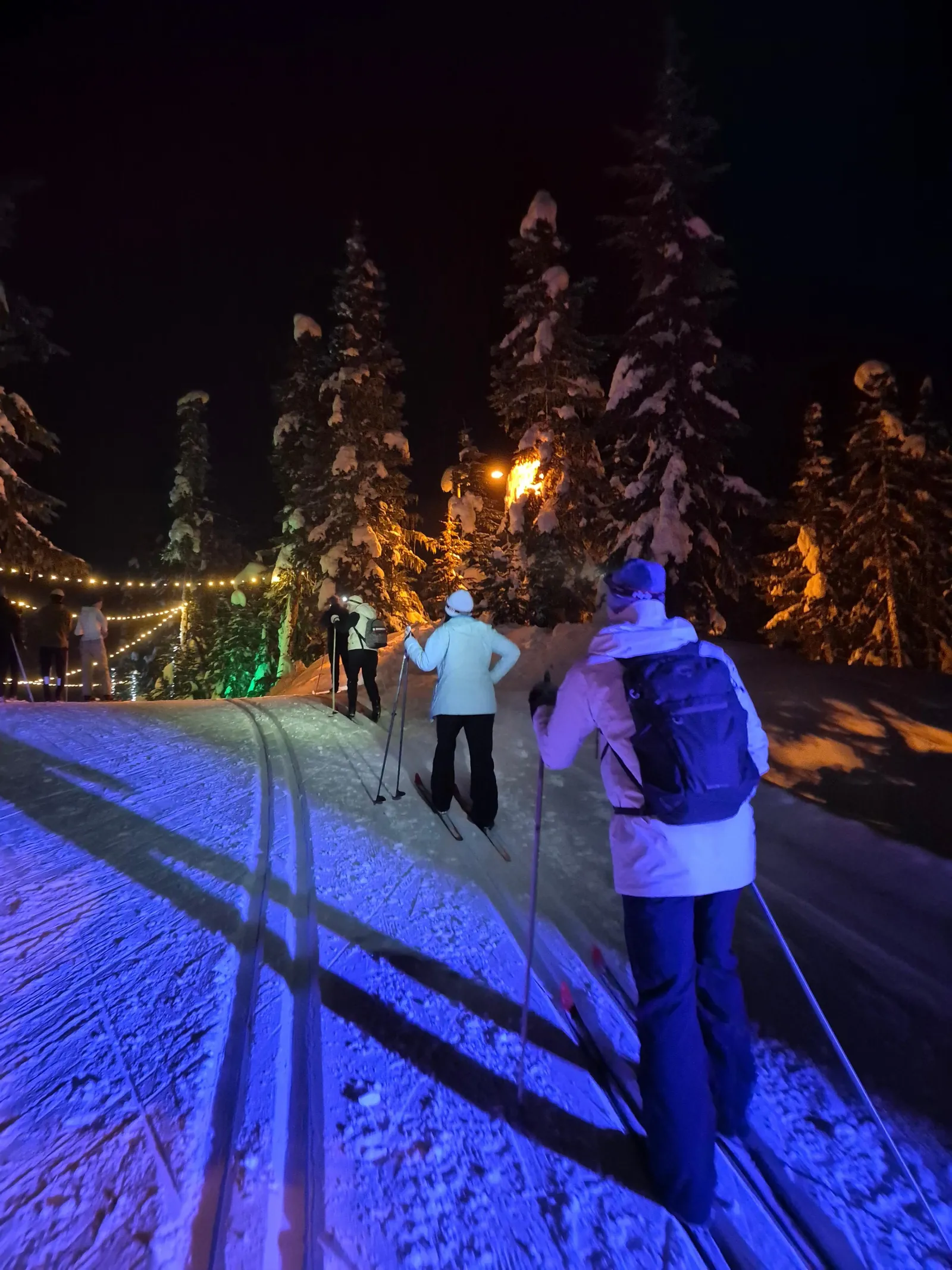Group of skiers heading up a lit, groomed track between snowy trees on an evening outing
