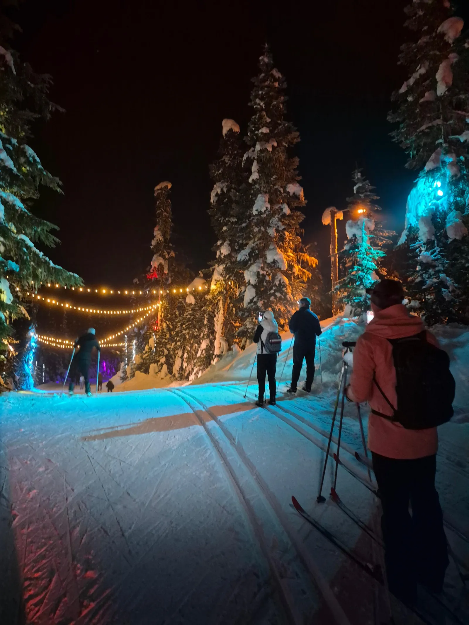Vancouver: Whistler Olympic Park Evening Snowshoeing/Skiing