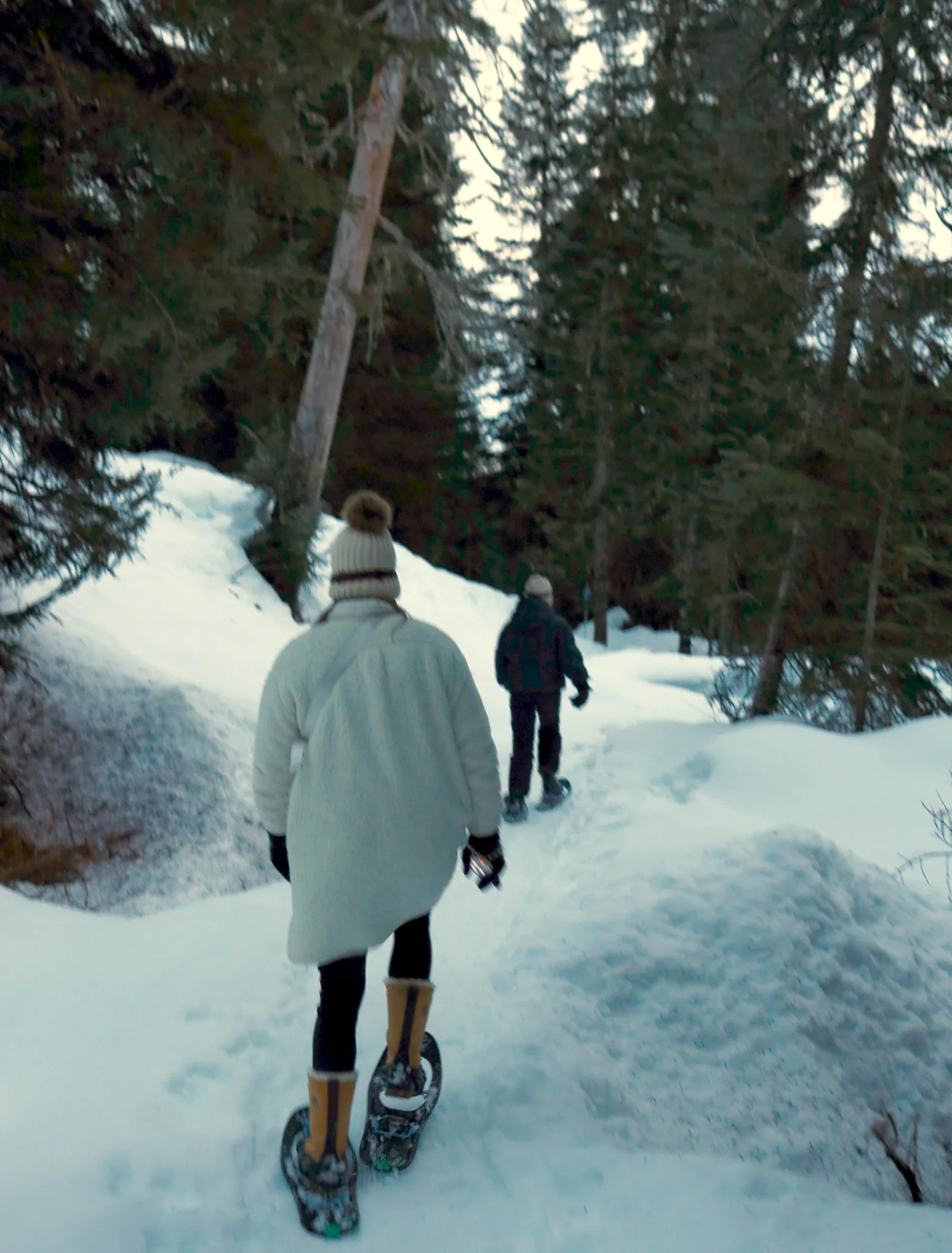 Two snowshoers walking a snowy forest trail at dusk