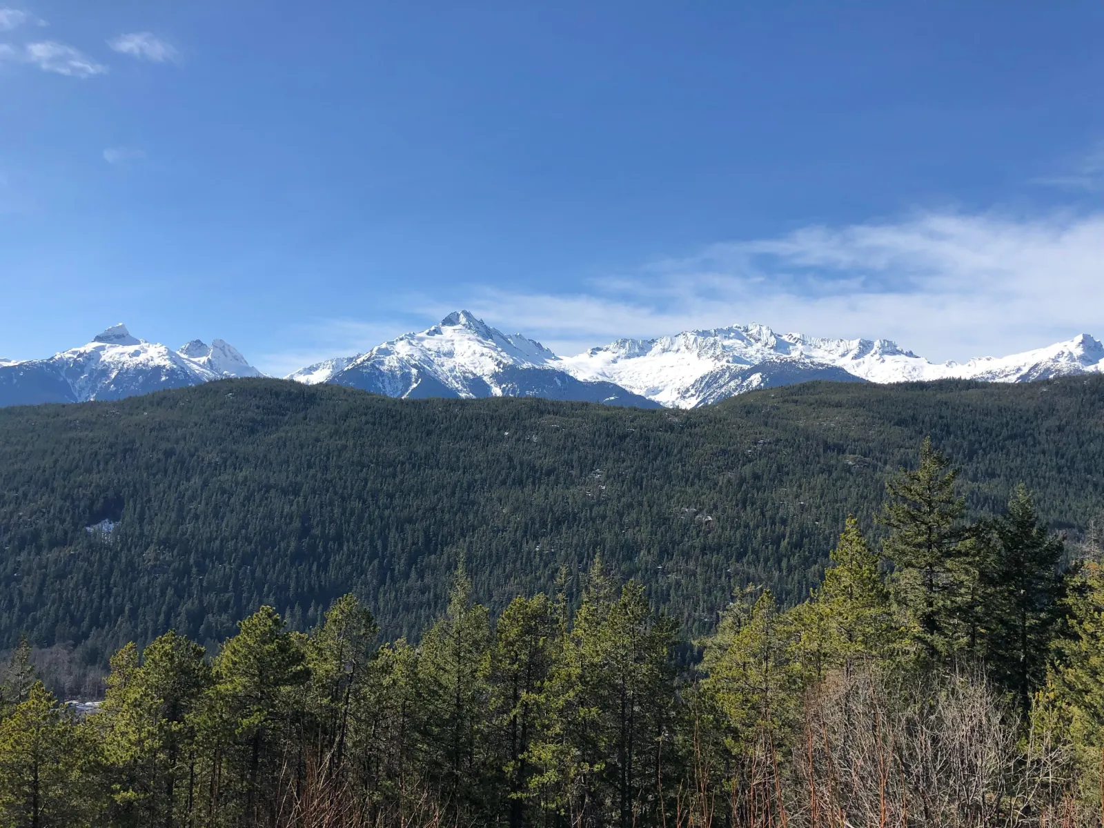 Snow-capped Tantalus Range above forested slopes, seen from a lookout on Highway 99