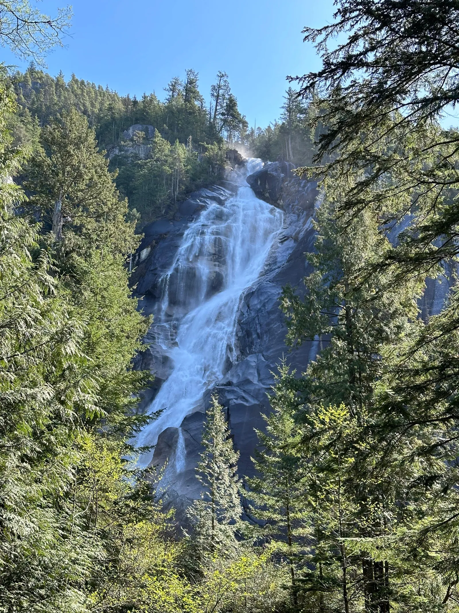 Shannon Falls cascading down a granite wall under a clear blue sky