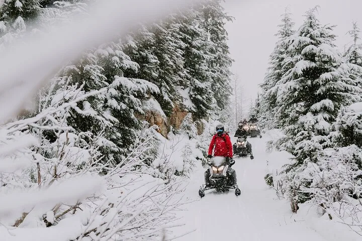 Line of snowmobiles on a narrow forest trail during snowfall, lead rider in a red jacket