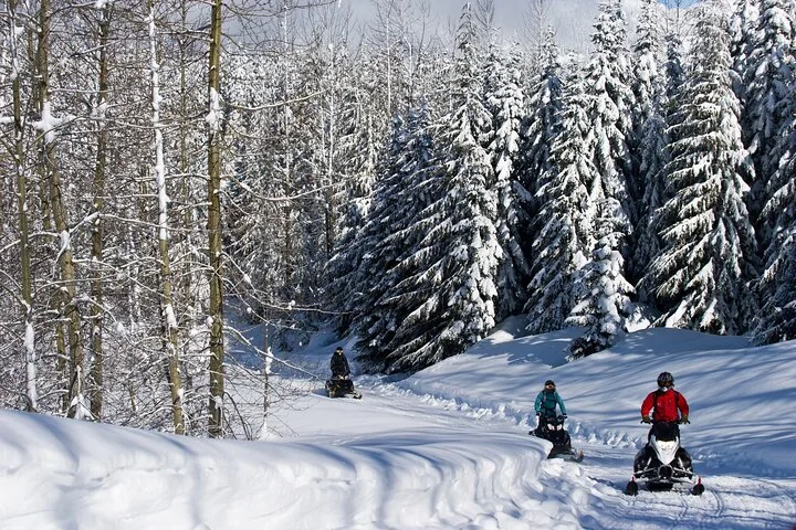 Three snowmobiles following a groomed trail through snow-covered forest on a sunny day