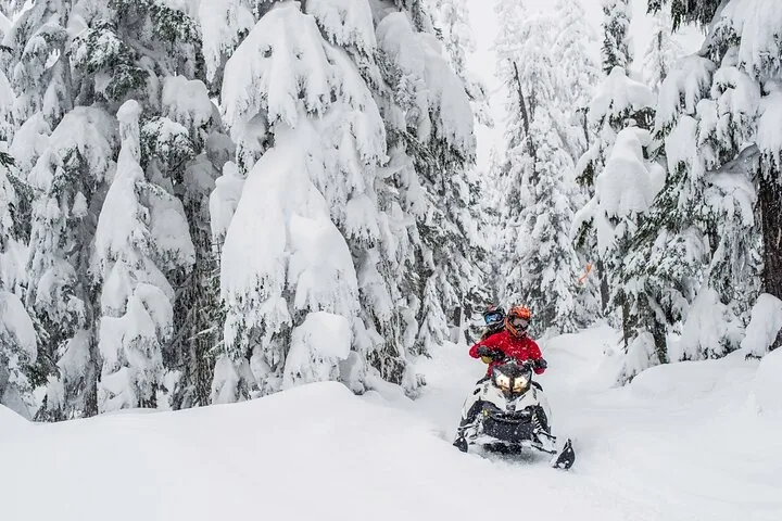 Snowmobile with two riders on a trail between heavily snow-laden evergreens